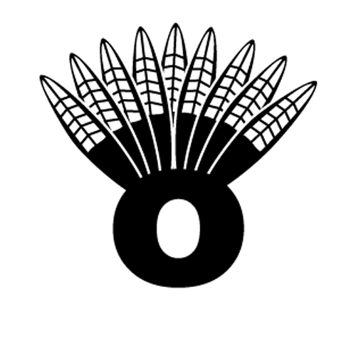 Nazione Indiana