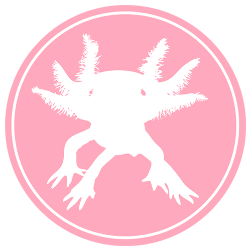 Axolotl